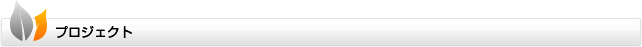 プロジェクト
