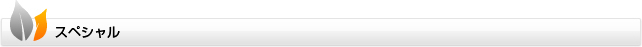 スペシャル